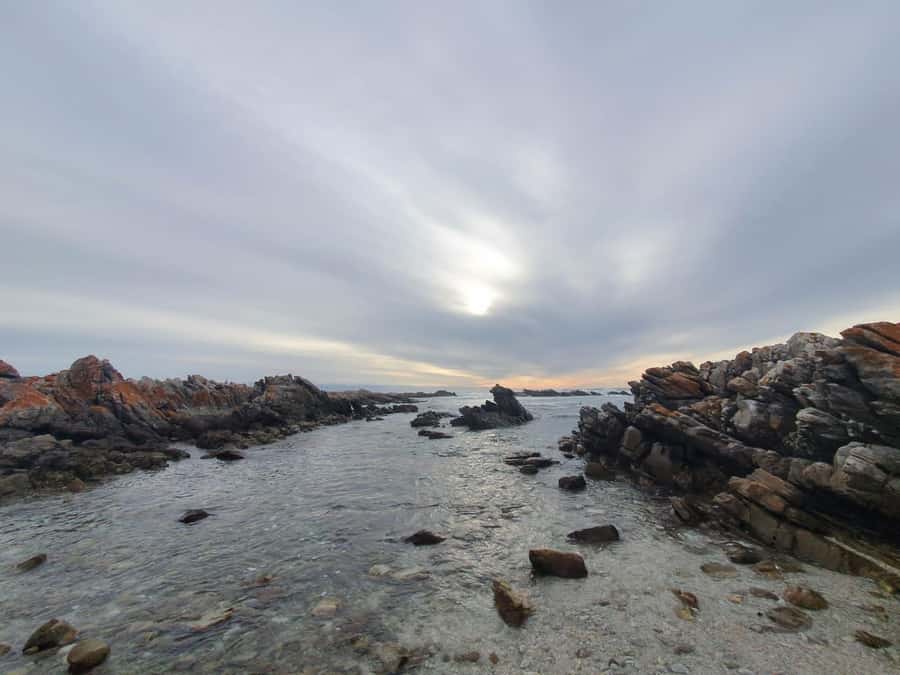 Cape Town: Cape Aghullas Van Tour with Hotel Pickup - Why Cape Agulhas is worth the long road from Cape Town