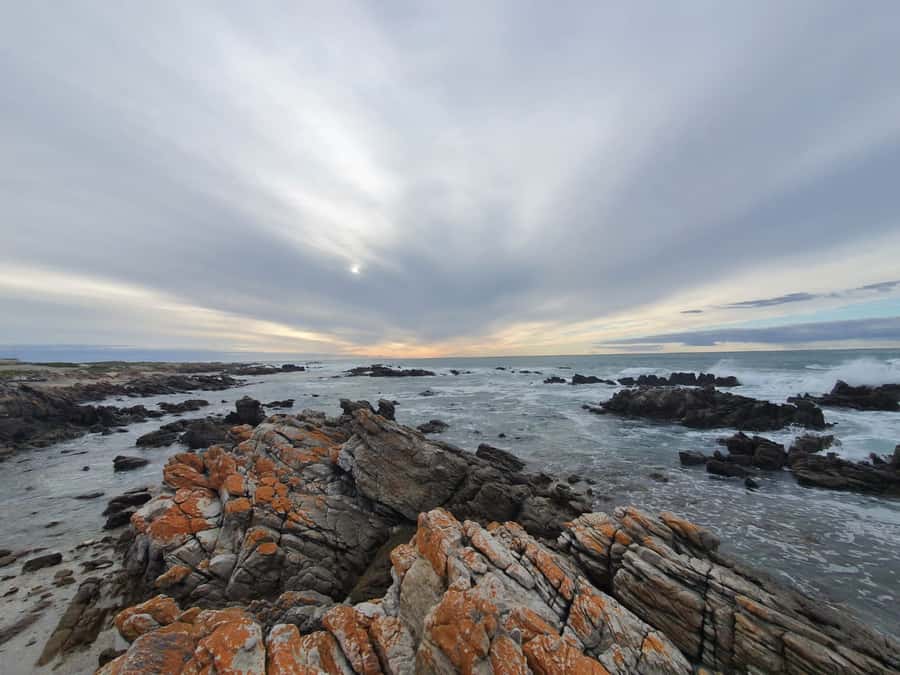 Cape Town: Cape Aghullas Van Tour with Hotel Pickup - The Cape Town pickup and the first stretch south