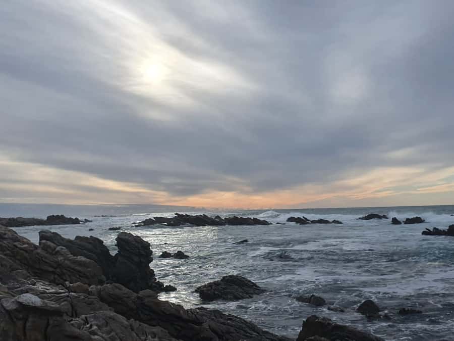 Cape Town: Cape Aghullas Van Tour with Hotel Pickup - Hermanus gives the day a useful halfway pause