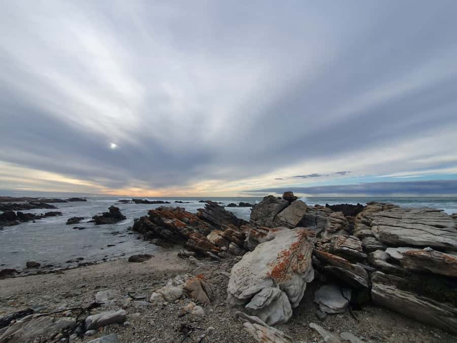 Cape Town: Cape Aghullas Van Tour with Hotel Pickup - Final call: pay for the reach, not just the stop