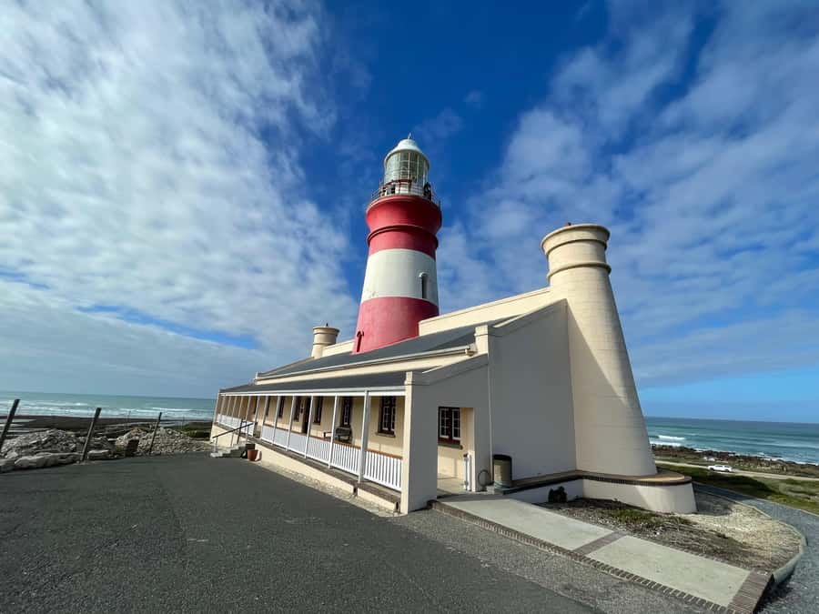 Cape Town: Cape Agulhas and Stony Point Penguin Tour - Key points to know before booking