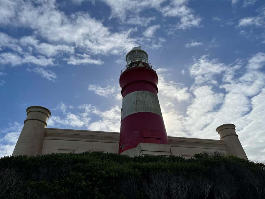 Cape Town: Cape Agulhas and Stony Point Penguin Tour - What the $249 price includes