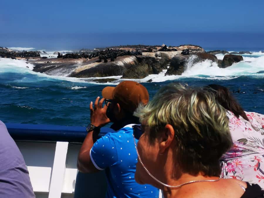 Cape Town: CAPE OF GOOD HOPE AND PENGUINS PRIVATE FULL DAY. - Chapman’s Peak is the road you will remember