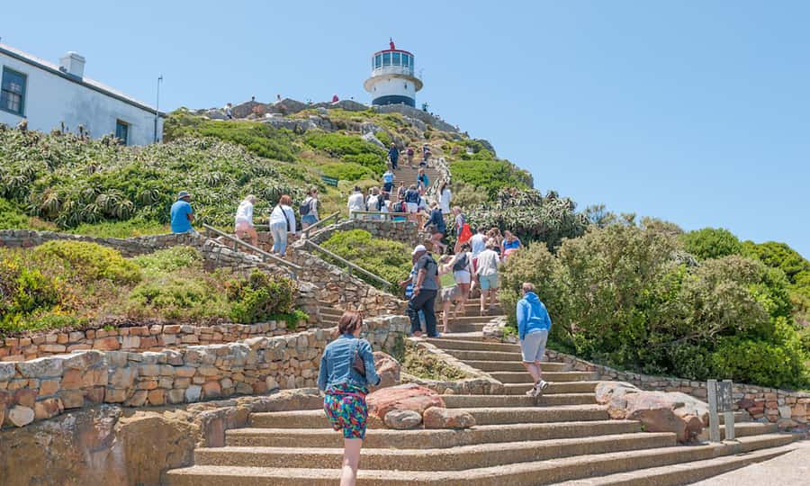 Cape Town: CAPE OF GOOD HOPE AND PENGUINS PRIVATE FULL DAY. - Lunch depends on your priorities