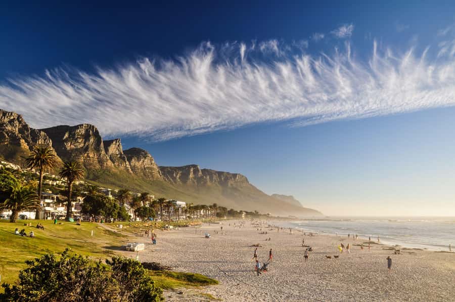 Cape Town: Cape of Good Hope & Boulders Beach Group Tour - Chapman’s Peak Drive is a scenic highlight at no extra fee