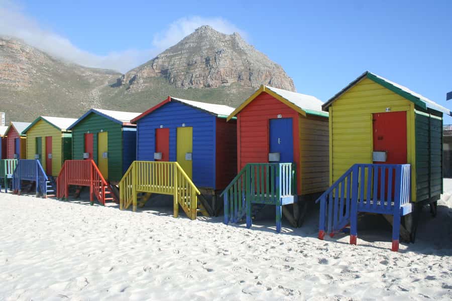 Cape Town: Cape of Good Hope & Boulders Beach Group Tour - Muizenberg closes the coastal loop