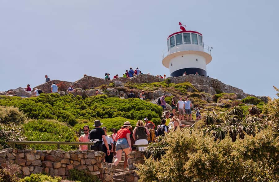 Cape Town: Cape of Good Hope & Cape Point Prebooked Ticket - Key points at a glance