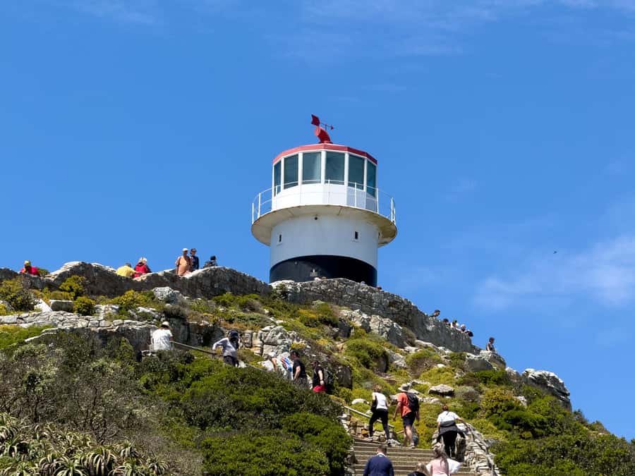 Cape Town: Cape of Good Hope & Penguin Colony Entry Ticket - Small details that make the day better