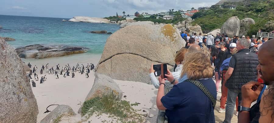 Cape Town: Cape of Good Hope, Penguins and Sightseeing Tour - A big Cape Peninsula day from Cape Town