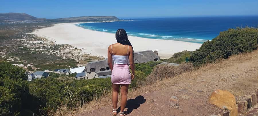 Cape Town: Cape of Good Hope, Penguins and Sightseeing Tour - Guides, timing and the day-to-day experience