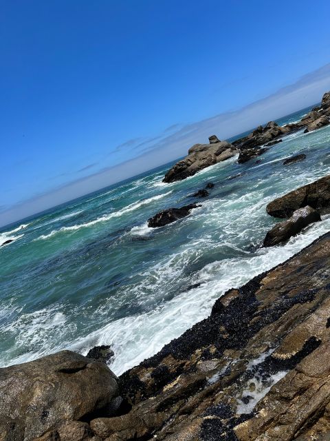 Cape Town: Cape of Good Hope & Penguins Full-Day Guided Tour - Simon’s Town gives you time to eat