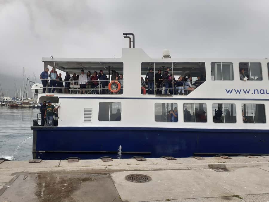 Cape Town: Cape of Good Hope, Penguins Instagram Group Tour - Starting along Cape Towns Atlantic shore