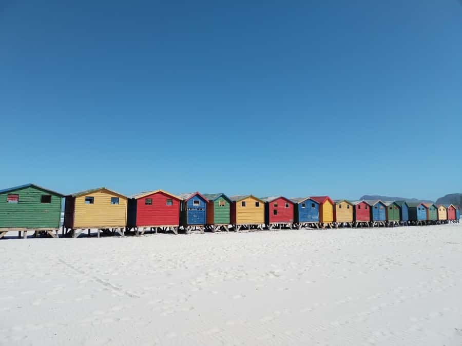 Cape Town: Cape of Good Hope, Penguins Instagram Group Tour - Lunch in Simons Town and Muizenbergs beach huts