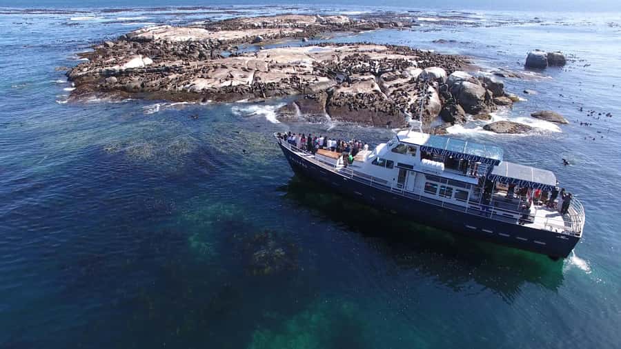 Cape Town: Cape of Good Hope, Seals and Penguins Day Tour - Why this 10-hour route works for a first Cape Town visit