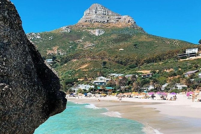 Cape Town: Cape Peninsula Private Tour Full Day - What the private vehicle changes