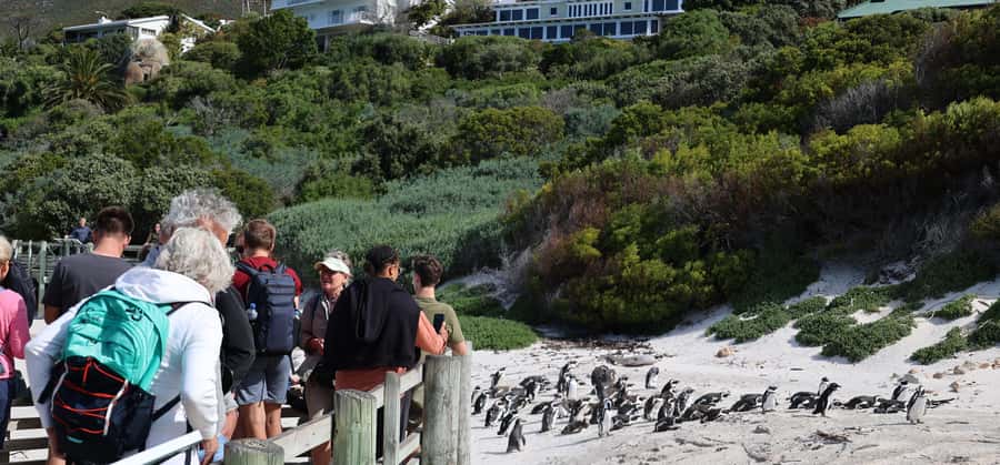 Cape Town: Cape Peninsula & Table Mountain Private Day Trip - Key points to know before booking