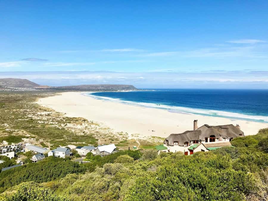 Cape Town: Cape Point and Penguin Colony Full Day Tour - The guides are a major part of the experience