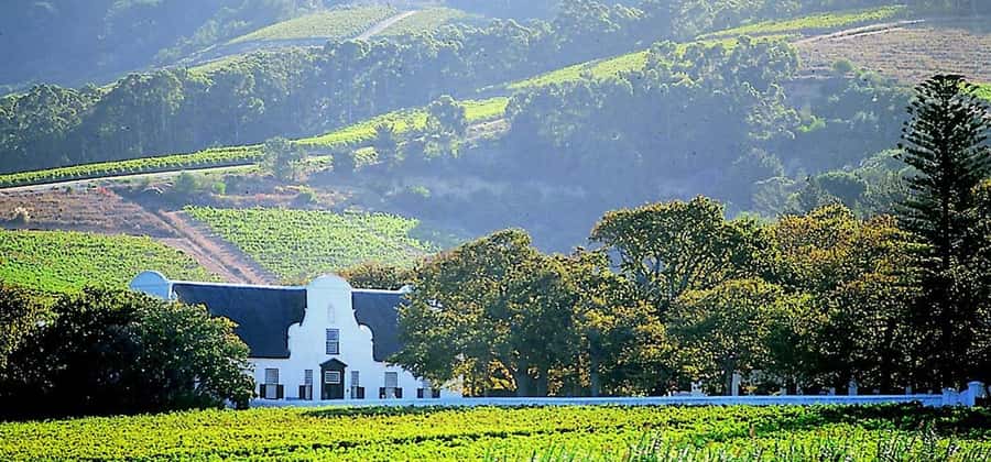 Cape Town: Cheetah Outreach and Winelands Day Tour - Should you book it?