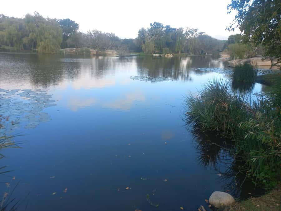 Cape Town: Cheetah Outreach and Winelands Day Tour - L’Avenir Country Lodge and the first wine stop
