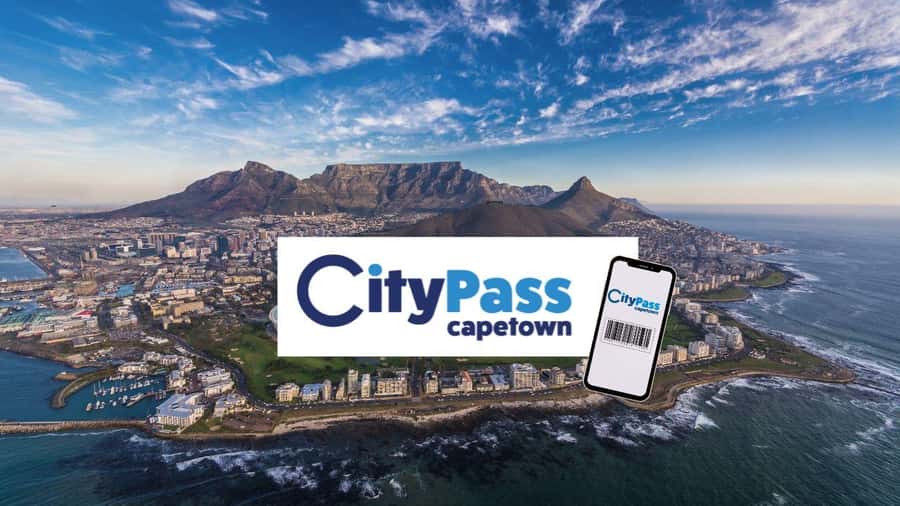 Cape Town City Pass: Save Over 50% on 80+ Top Attractions - Start with the red bus and get your bearings