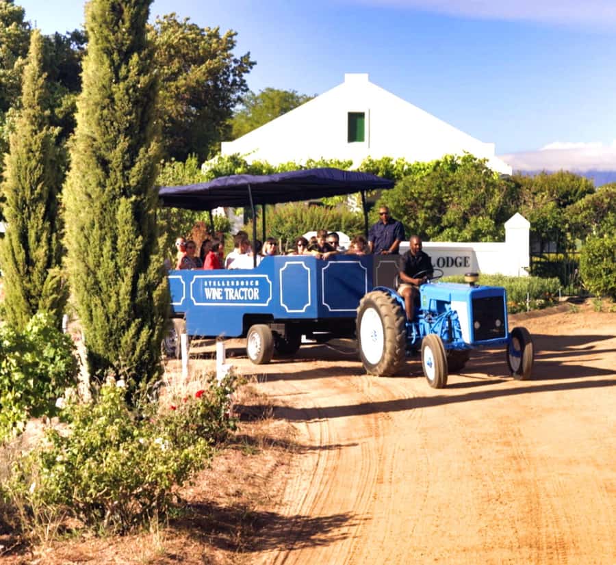 Cape Town City Pass: Save Over 50% on 80+ Top Attractions - Family activities and lighter stops