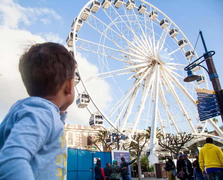 Cape Town City Pass: Save Over 50% on 80+ Top Attractions - Timing, reservations, and the pass’s real value