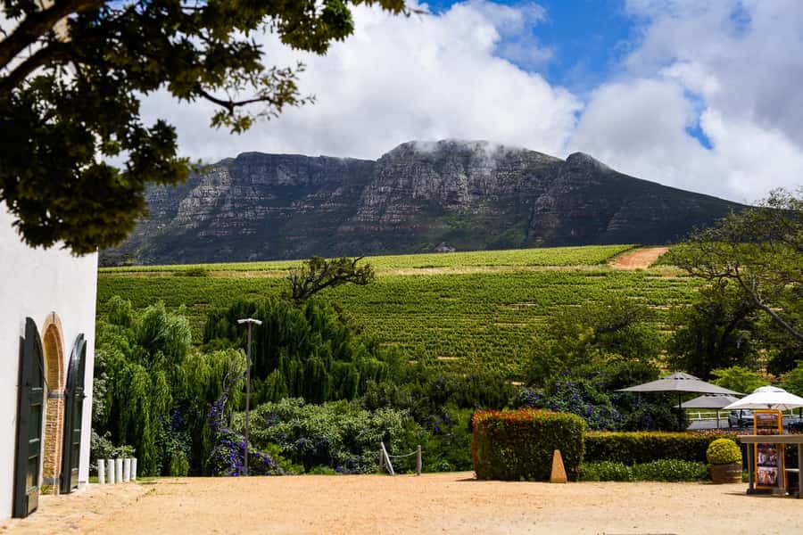 Cape Town: Constantia Half-Day Wine Tour & Tastings - Groot Constantia: history, cellars, and a slower first tasting