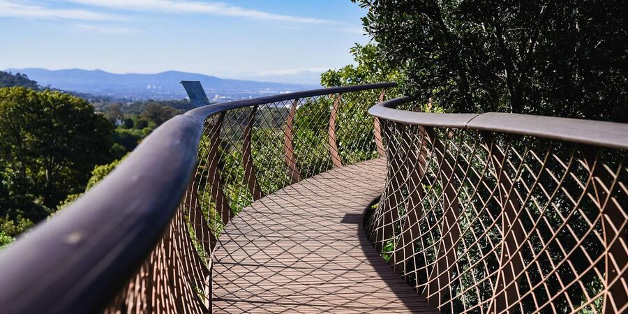 Cape Town: Constantia Half-Day Wine Tour & Tastings - Beau Constantia or Constantia Glen?