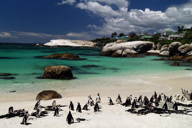 Cape Town Day Tours - Why this route works for a first day in Cape Town