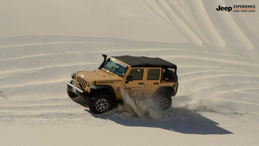 Cape Town Dessert Thrill: 4x4 Dune Venture - A Private Format With a Personal Feel