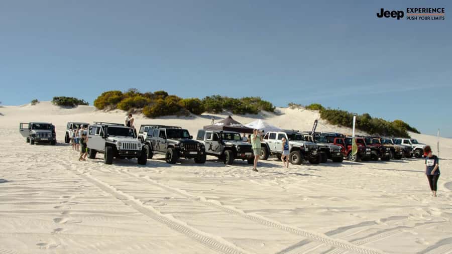 Cape Town Dessert Thrill: 4x4 Dune Venture - Who Will Enjoy This Most