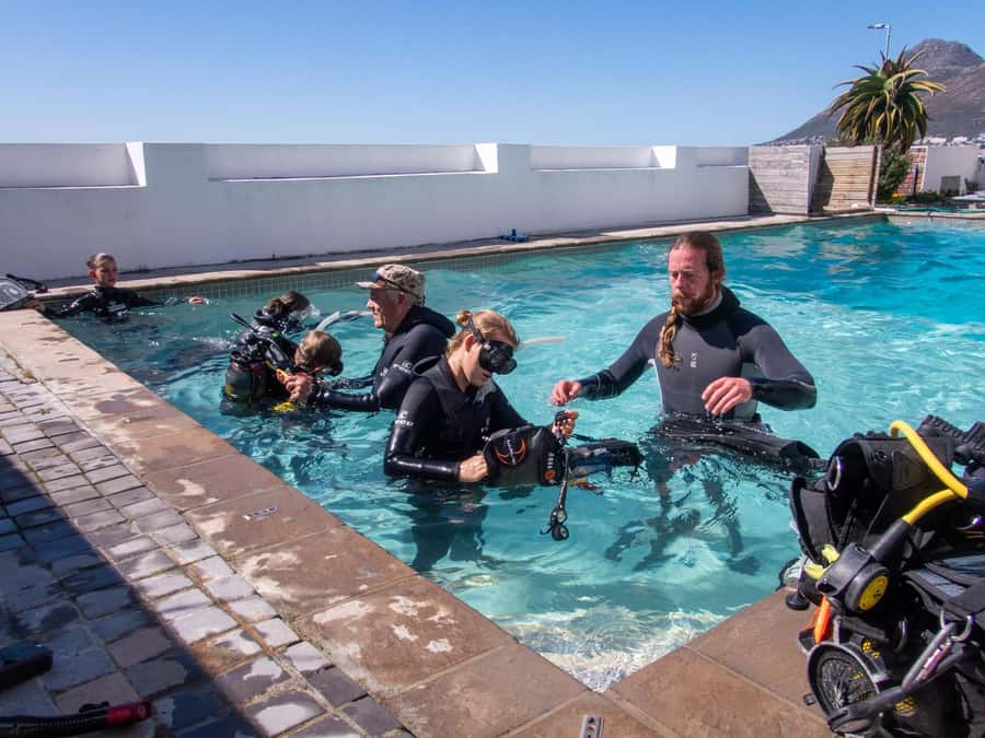 Cape Town: Discover Scuba Diving - 1 day experience - Key points to know before you book