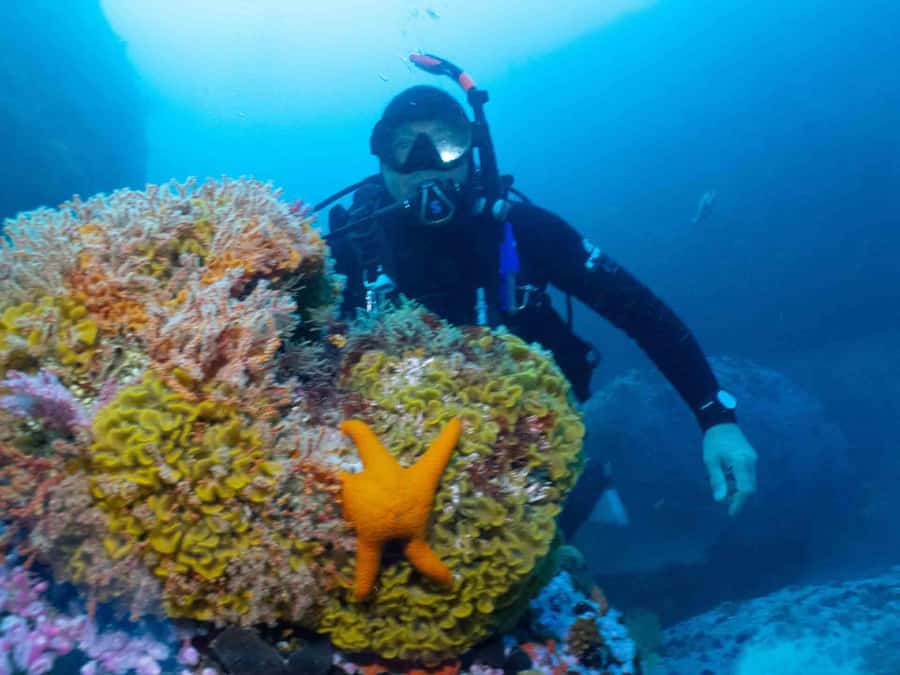 Cape Town: Discover Scuba Diving - 1 day experience - Practical timing and comfort advice