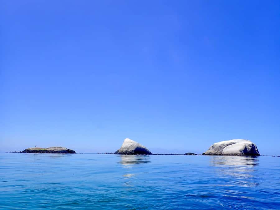 Cape Town: Discover Scuba Diving - 1 day experience - What this Cape Town scuba session really offers