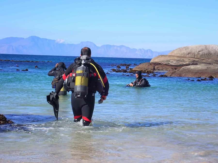 Cape Town: Discover Scuba Diving - 1 day experience - The first hour: class and e-learning