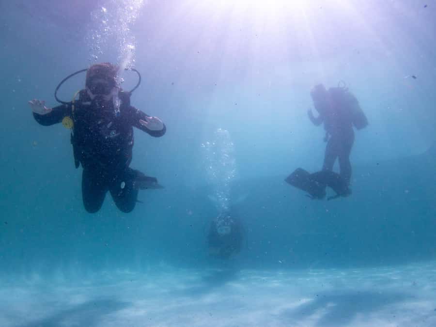 Cape Town: Discover Scuba Diving - 1 day experience - What the small group changes