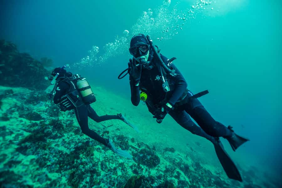 Cape Town: Discover Scuba Diving - 1 day experience - The real value of the $155 price