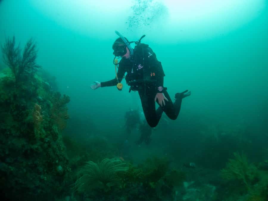 Cape Town: Discover Scuba Diving - 1 day experience - Weather, health, and who should skip it