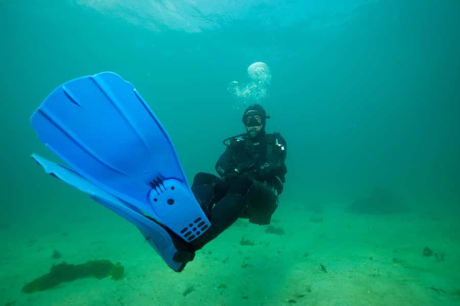 Cape Town: Discover Scuba Diving - 1 day experience - Arriving at Dive Team in Simon’s Town