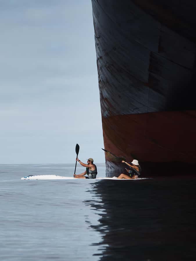 Cape Town: Dolphin & Ocean Wildlife Kayaking Adventure ⚓️ - Who should book this Cape Town kayak trip?