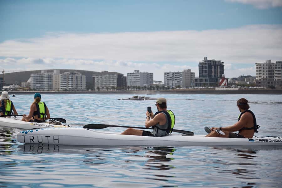 Cape Town: Dolphin & Ocean Wildlife Kayaking Adventure ⚓️ - Looking for dolphins, seals, penguins, and whales