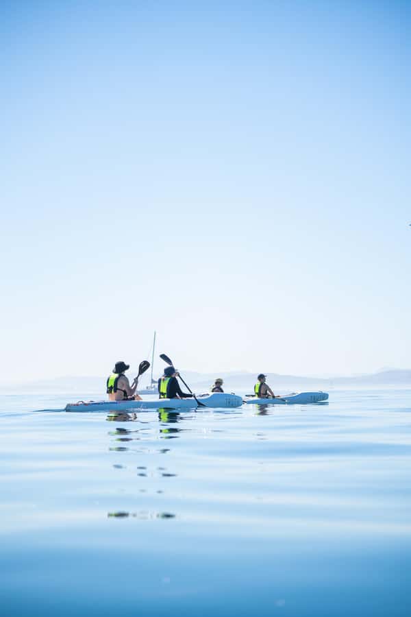 Cape Town: Dolphin & Ocean Wildlife Kayaking Adventure ⚓️ - Is $37 a fair price?