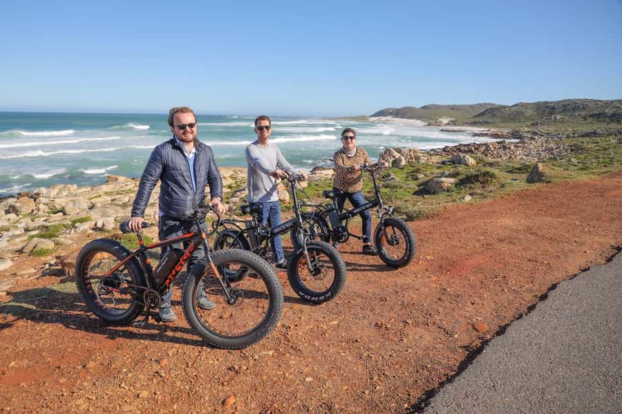 Cape Town: E-Bike Cape Peninsula Tour - Chapmans Peak and the ocean road