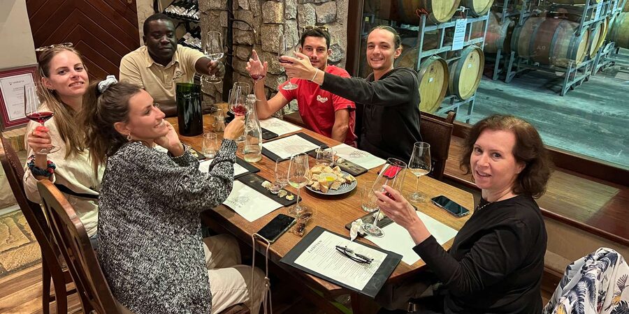 Cape Town: Franschhoek and Wine Tram Tour - A small group makes the long day easier