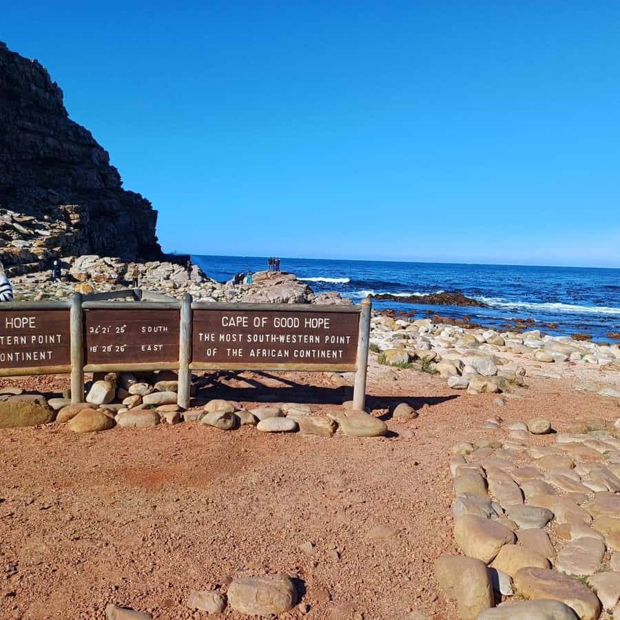 Cape Town: Full Day Cape of Good Hope with Penguins Tour - Why Cape Point is worth a full day