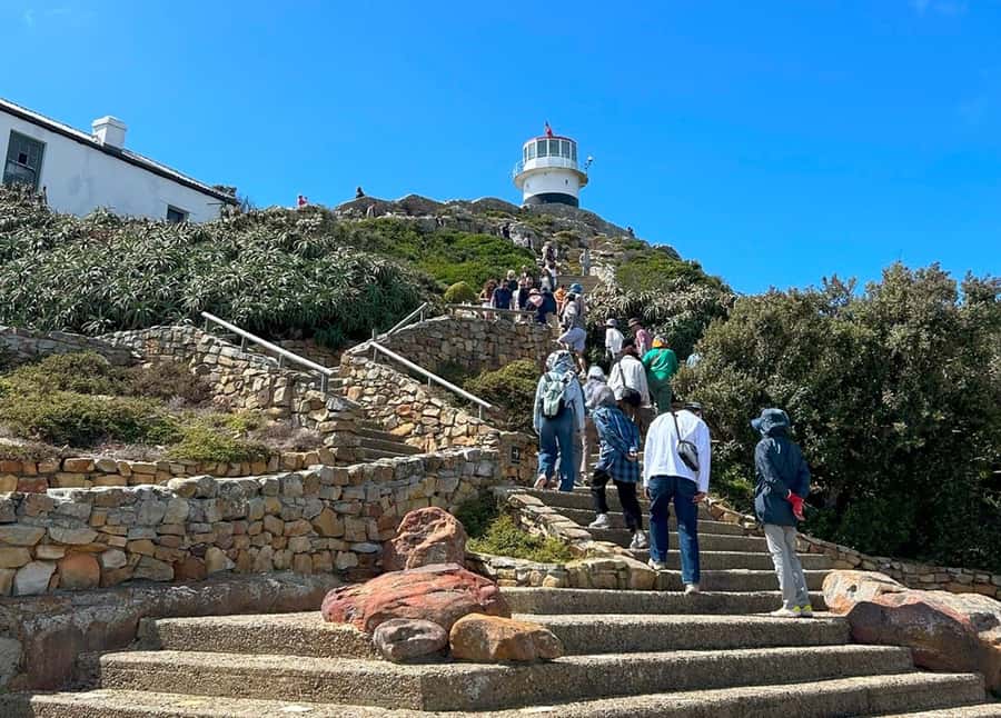 Cape Town: Full Day Cape of Good Hope with Penguins Tour - Is $127 good value?