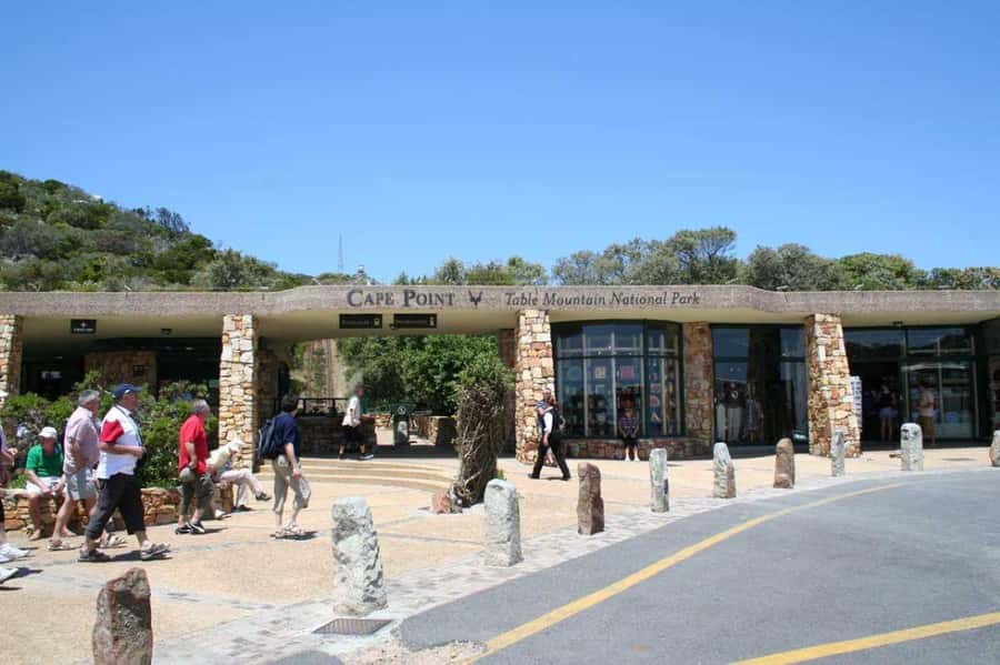 Cape Town: Full-Day Cape Peninsula Tour & Penguin Beach - Guides, transport, and the service question