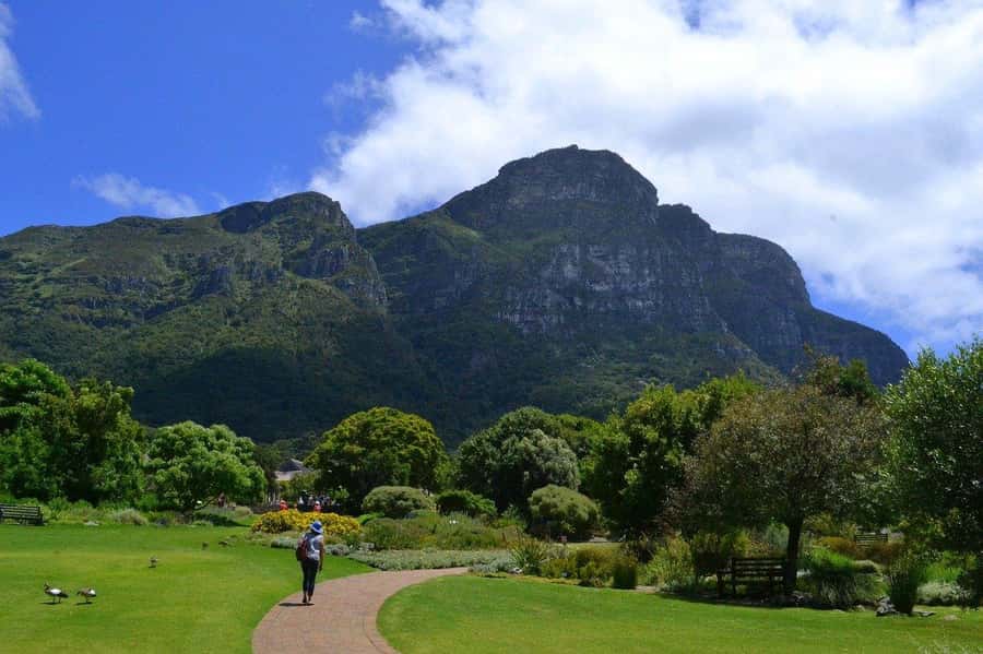 Cape Town: Full-Day Kirstenbosch, Bo-Kaap, and Penguins Tour - Chapmans Peak and the final run through Hout Bay