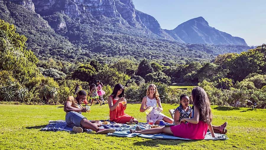 Cape Town: Full-Day Kirstenbosch, Bo-Kaap, and Penguins Tour - Kirstenbosch, where a guided walk makes a difference