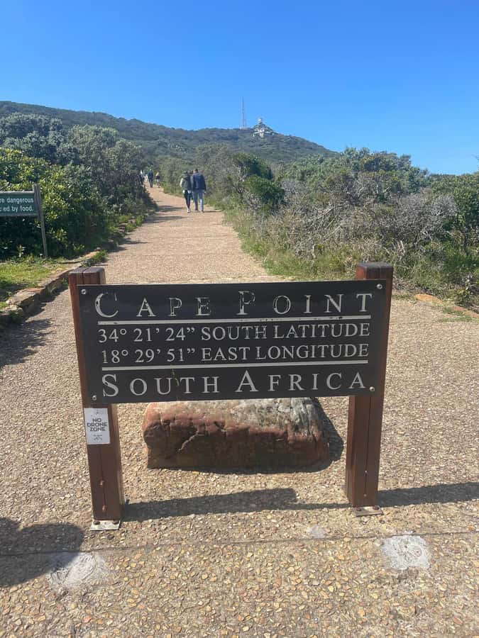 Cape Town: Full-Day Private Peninsula Tour - Hout Bay: Seal Island or seafood by the harbor